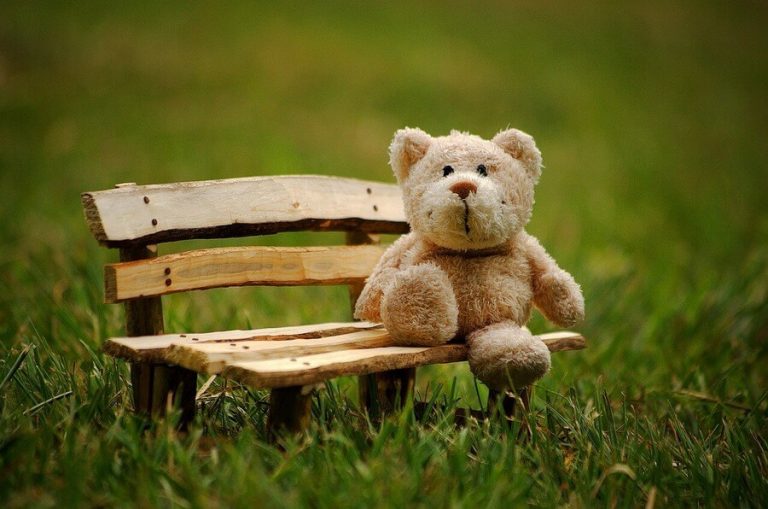 L'histoire de Teddy bears les origines de l'ours en peluche